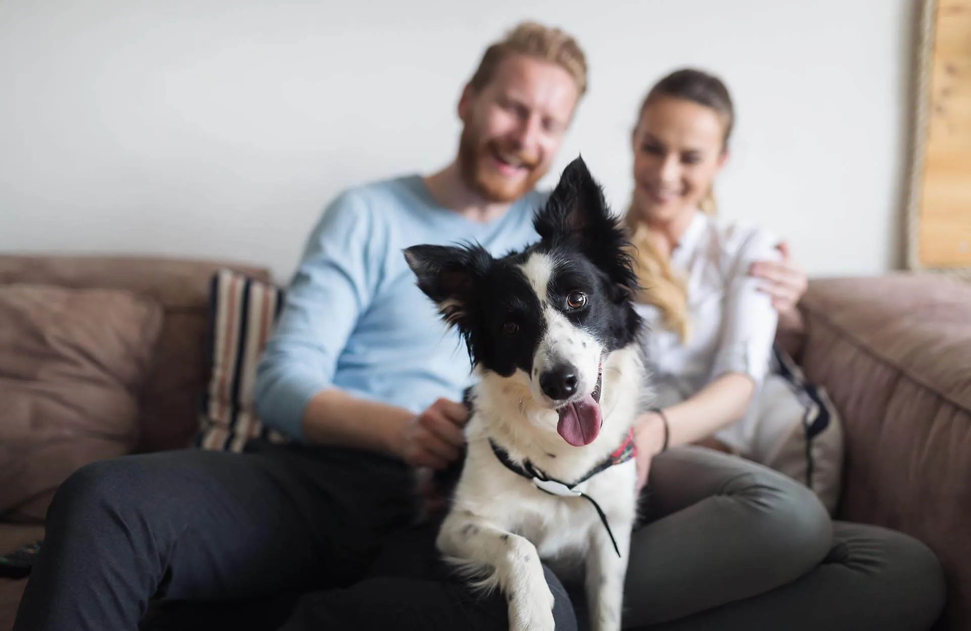 Homesitter passionnée d'animaux