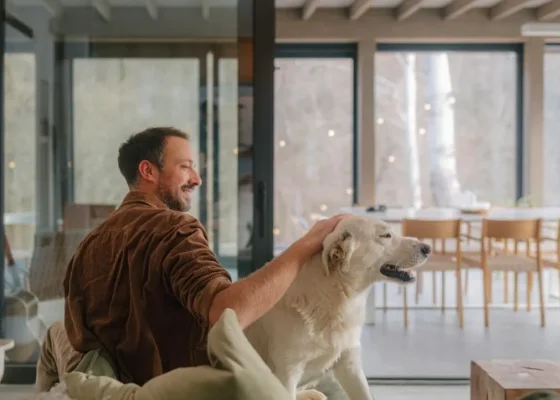 Chien heureux en garde à domicile profitant de son confort habituel sans stress de séparation.