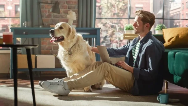 teletravail-campagne-maison-homesitter