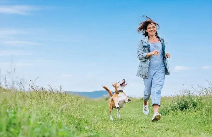 Homesitter gardant un chien à domicile en France