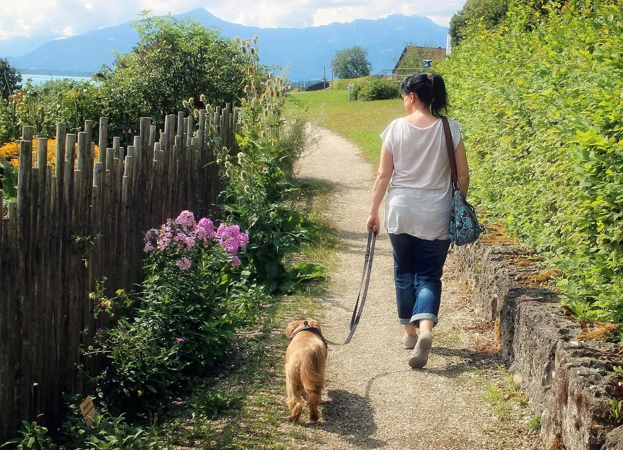 Une femme vue de dos promène un chien roux en laisse sur un sentier bordé de fleurs, des montagnes au loin